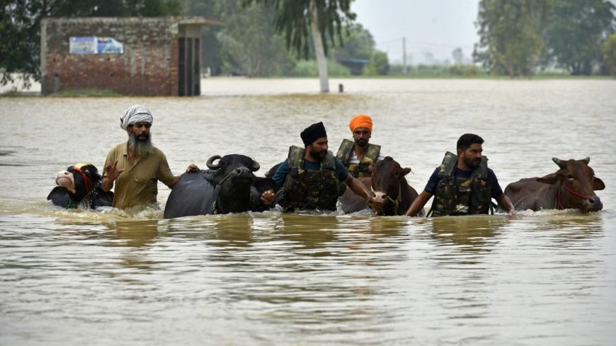 ਪੰਜਾਬ ਹੜ੍ਹ: ਰਾਹਤ ਕੈਂਪਾਂ ’ਚ ਅਜੇ ਵੀ ਹਜ਼ਾਰਾਂ ਲੋਕ, ਮੌਤਾਂ ਦੀ ਗਿਣਤੀ 53 ਤੱਕ ਪਹੁੰਚੀ